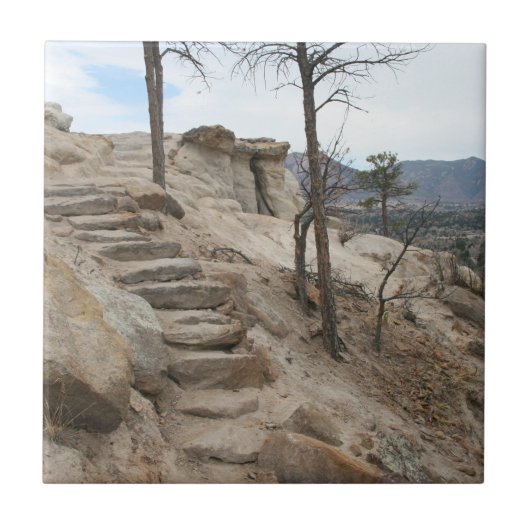 ロッキー階段 タイル (正面)