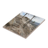 ロッキー階段 タイル (側面)