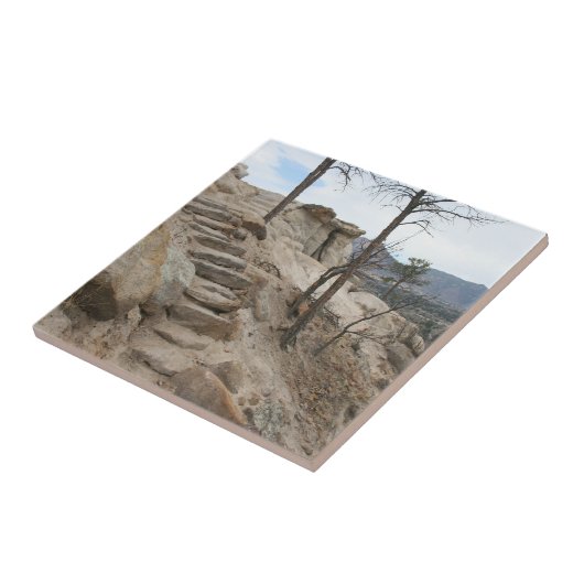 ロッキー階段 タイル (側面)