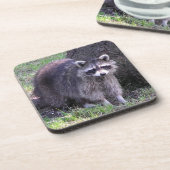 ロッキー・ザ・ラクーン コースター (左側)