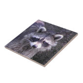 ロッキー・ザ・ラクーン タイル (側面)