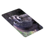 ロッキー・ザ・ラクーン マグネット (右側)