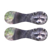 ロッキー・ザ・ラクーン 野球ボール (パネル)