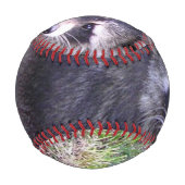 ロッキー・ザ・ラクーン 野球ボール (裏面)