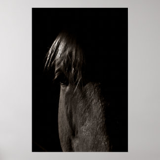 ロッキー ポスター