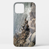 ロッキー・海・ショアの写真 Case-Mate iPhoneケース (裏面)