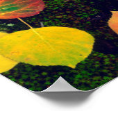 ロッキ葉山脈の岩に覆われた地衣類の上の ポスター (角)