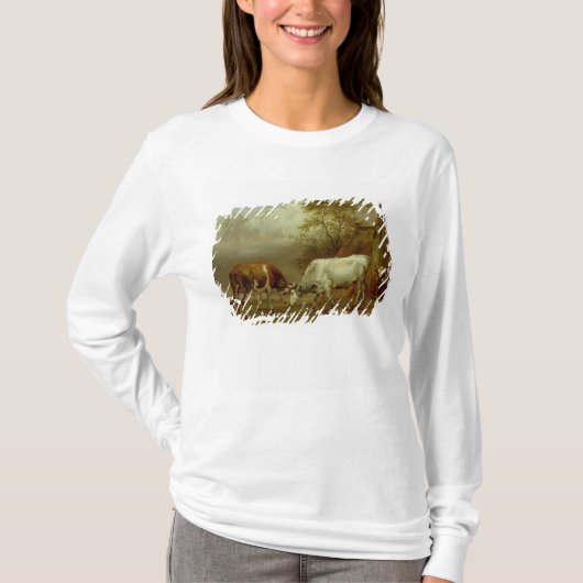 ロックされた角1653年を持つ2頭の雄牛 Tシャツ (正面)