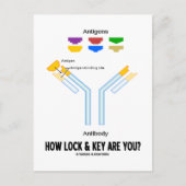 ロックと鍵は?(抗原抗体) ポストカード (正面)