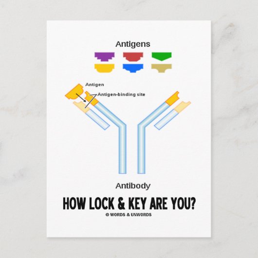 ロックと鍵は？（抗原抗体） ポストカード (正面)