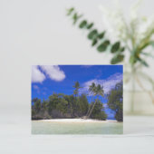 ロックアイランズパラオ ポストカード (スタンド正面)