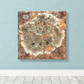 ロックアート – 自然の芸術 キャンバスプリント (インサイチュ (ウッドフロア))