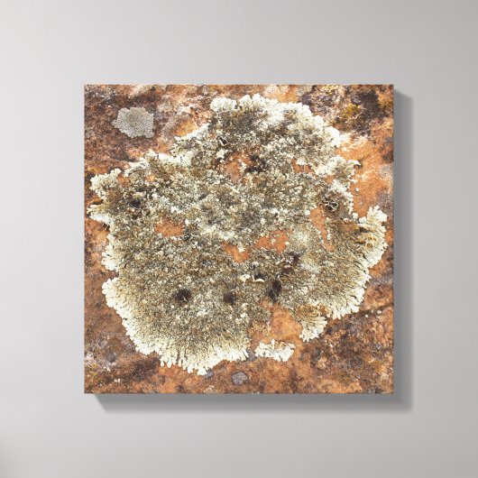 ロックアート – 自然の芸術 キャンバスプリント (正面)