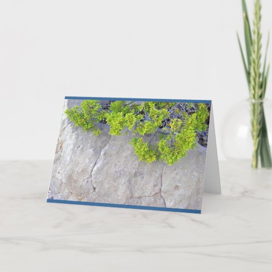 『ロックアート#4』 カード (正面)