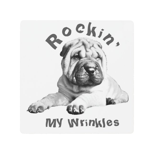 ロックイン'私のしわシャールペイのウォールアート メタルプリント (正面)