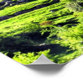 ロックオブカシェルプリント ポスター (角)