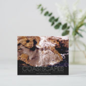 ロックカスケード写真 ポストカード (スタンド正面)