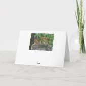 ロックカードにライオンのカブス カード (裏面)