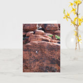 ロッククライマー誕生日 カード (黄色い花)