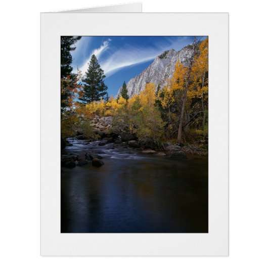 "ロッククリークキャニオン金ゴールド" (正面)