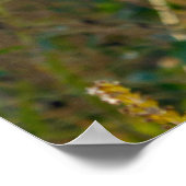 ロックケルン禅壁ポスター ポスター (角)