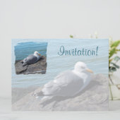 ロックジェットにカモメを置くニシン： 招待状 (スタンド正面)