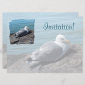 ロックジェットにカモメを置くニシン： 招待状 (正面/裏面)