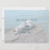 ロックジェットにカモメを置くニシン： 招待状 (裏面)