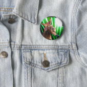 ロックスターおもしろいロバ 缶バッジ (インサイチュ)