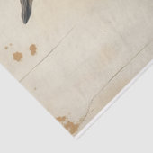 ロックスターバニーインティッシュペーパー 薄葉紙 (詳細)