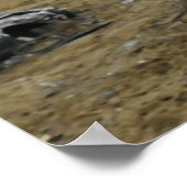 ロックスタープリント ポスター (角)