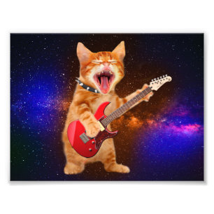 ロックスター猫 フォトプリント