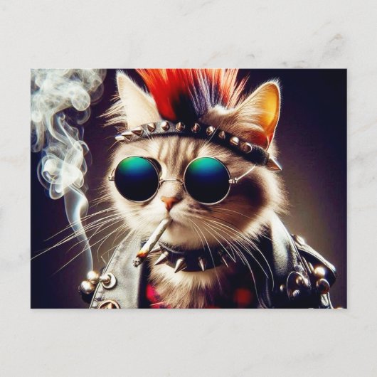 ロックスター猫 ポストカード (正面)