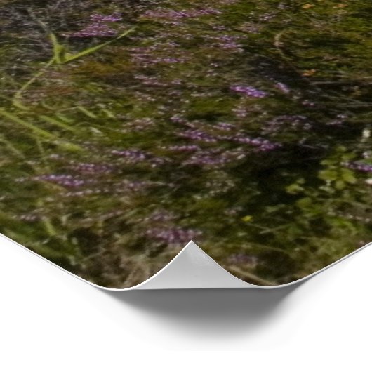 ロックトゥラ ポスター (角)