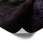 ロックトレイルのある夢のようなウッドランド ポスター (角)