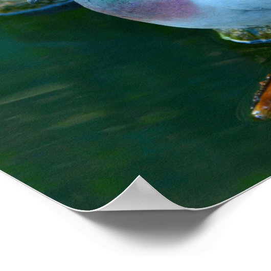 ロックドーブ ポスター (角)