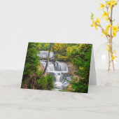 ロックナショナルレイクショアセーブル秋 カード (黄色い花)