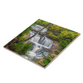 ロックナショナルレイクショアセーブル秋 タイル (側面)