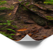 ロックナショナルレイクショアセーブル秋 ポスター (角)