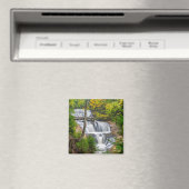 ロックナショナルレイクショアセーブル秋 マグネット (インサイチュ (食洗機))