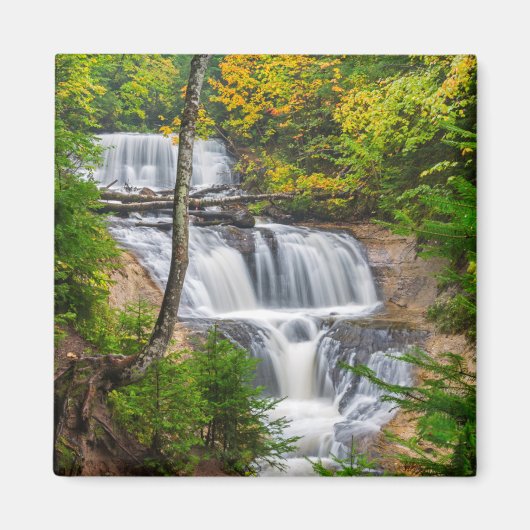 ロックナショナルレイクショアセーブル秋 マグネット (正面)