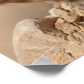 ロックハイラックス ポスター (角)