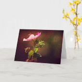 ロックバラバイブル聖句カードイザヤ60 カード (黄色い花)