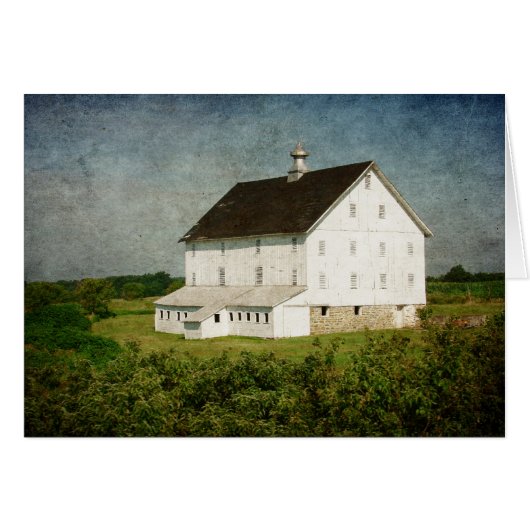 ロックバ無地のン (正面横)