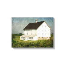 ロックバ無地のン