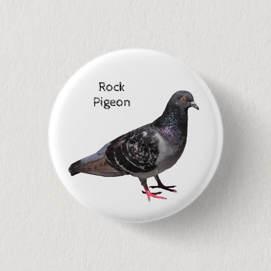ロックピジョン 缶バッジ (正面)
