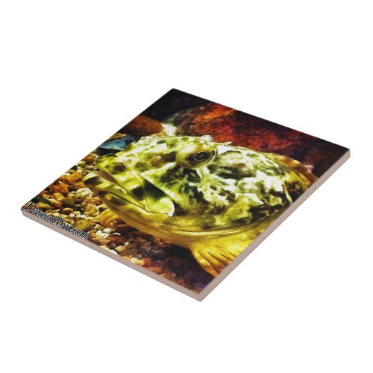 ロックフィッシュ タイル (側面)