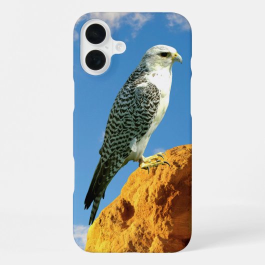 ロックフォンのケースに乗ったギャルファルコン iPhoneケース (裏面)
