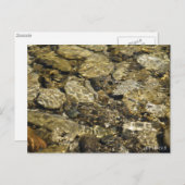 ロックプール ネイチャーコレクション ポストカード (正面/裏面)