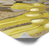 ロックプール ポスター (角)